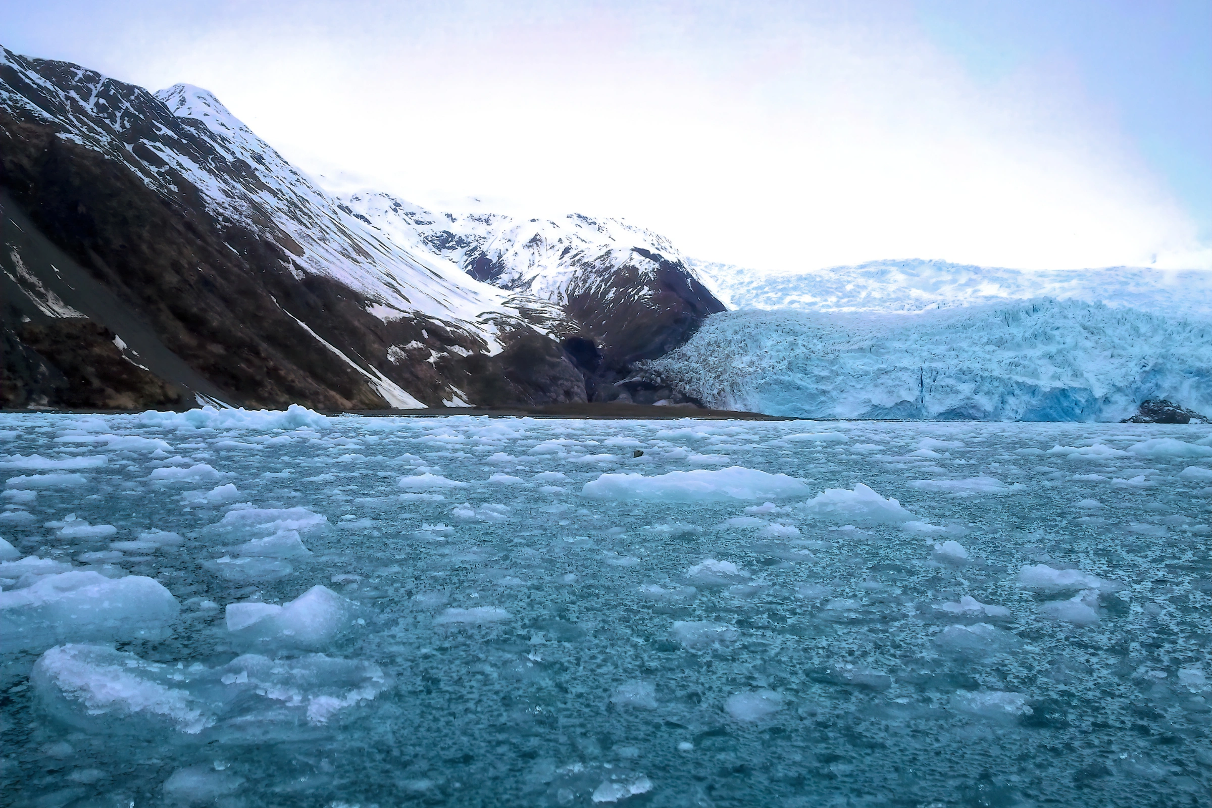 Icy_Arm_Fjord[1].webp